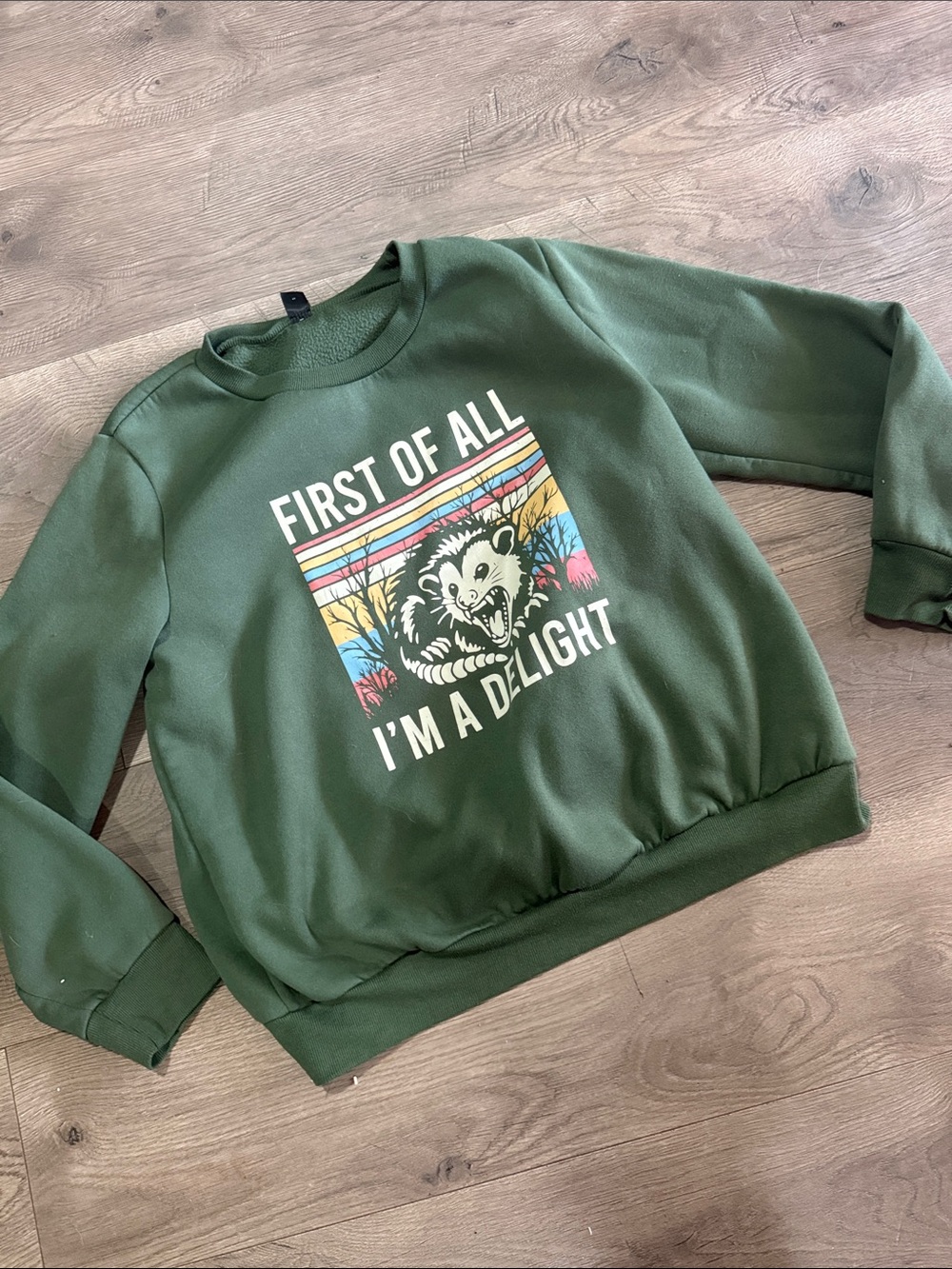 SHEIN Forest Green Crewneck Sweatshirt with Retro Graphic